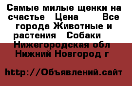 Самые милые щенки на счастье › Цена ­ 1 - Все города Животные и растения » Собаки   . Нижегородская обл.,Нижний Новгород г.